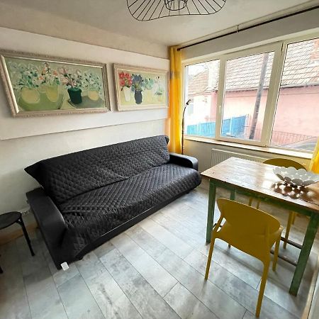 Art Apartments Govora Cluj Zewnętrze zdjęcie