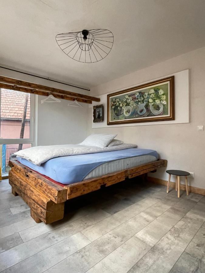Art Apartments Govora Cluj Zewnętrze zdjęcie
